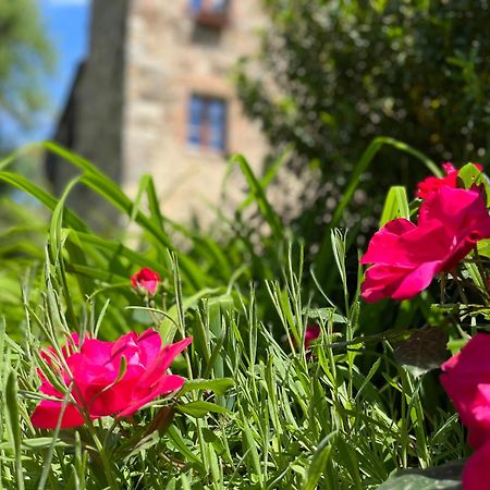 Апартаменти Mulino In Chianti Гайоле-ін-К'янті Екстер'єр фото