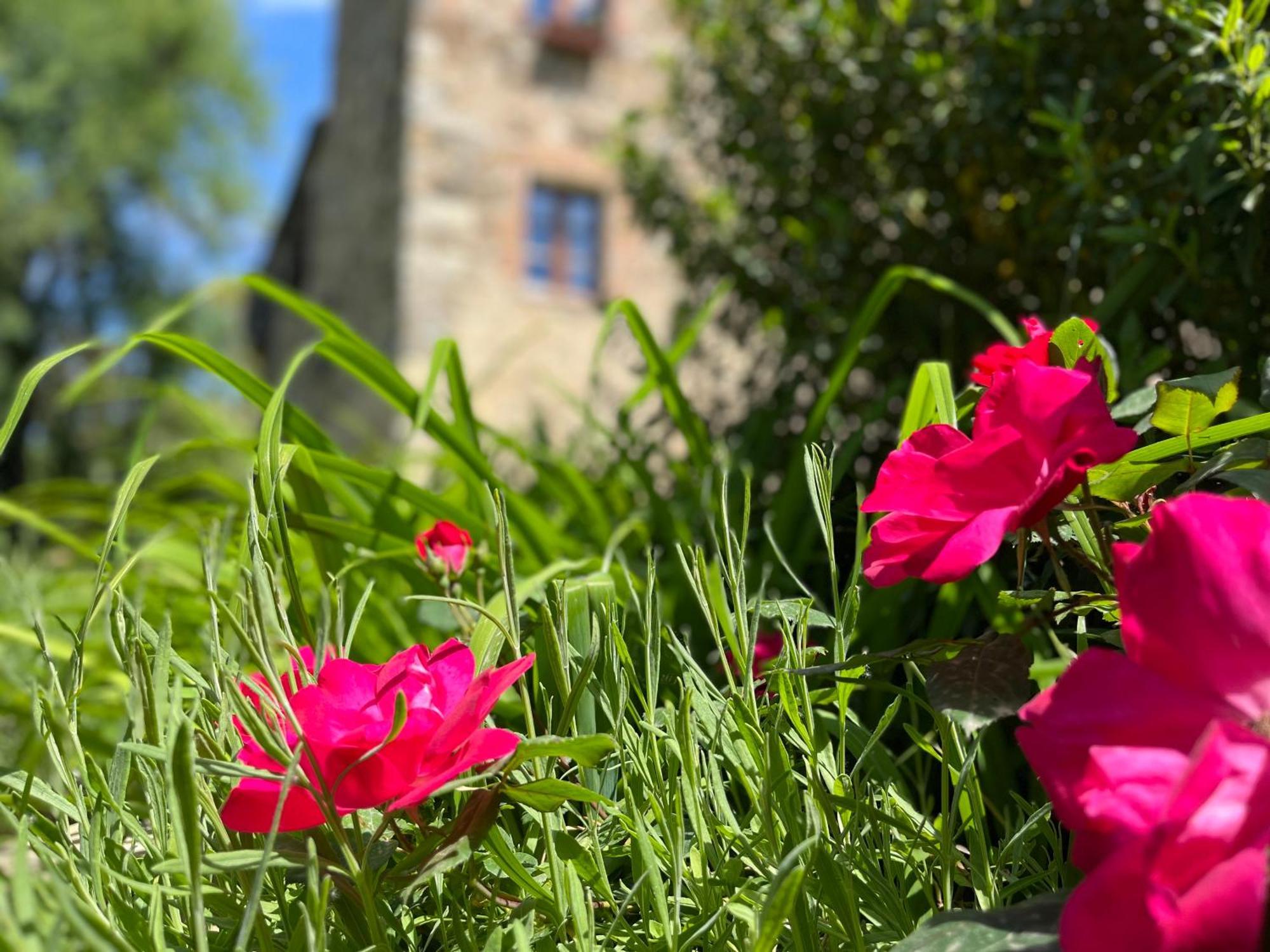 Апартаменти Mulino In Chianti Гайоле-ін-К'янті Екстер'єр фото