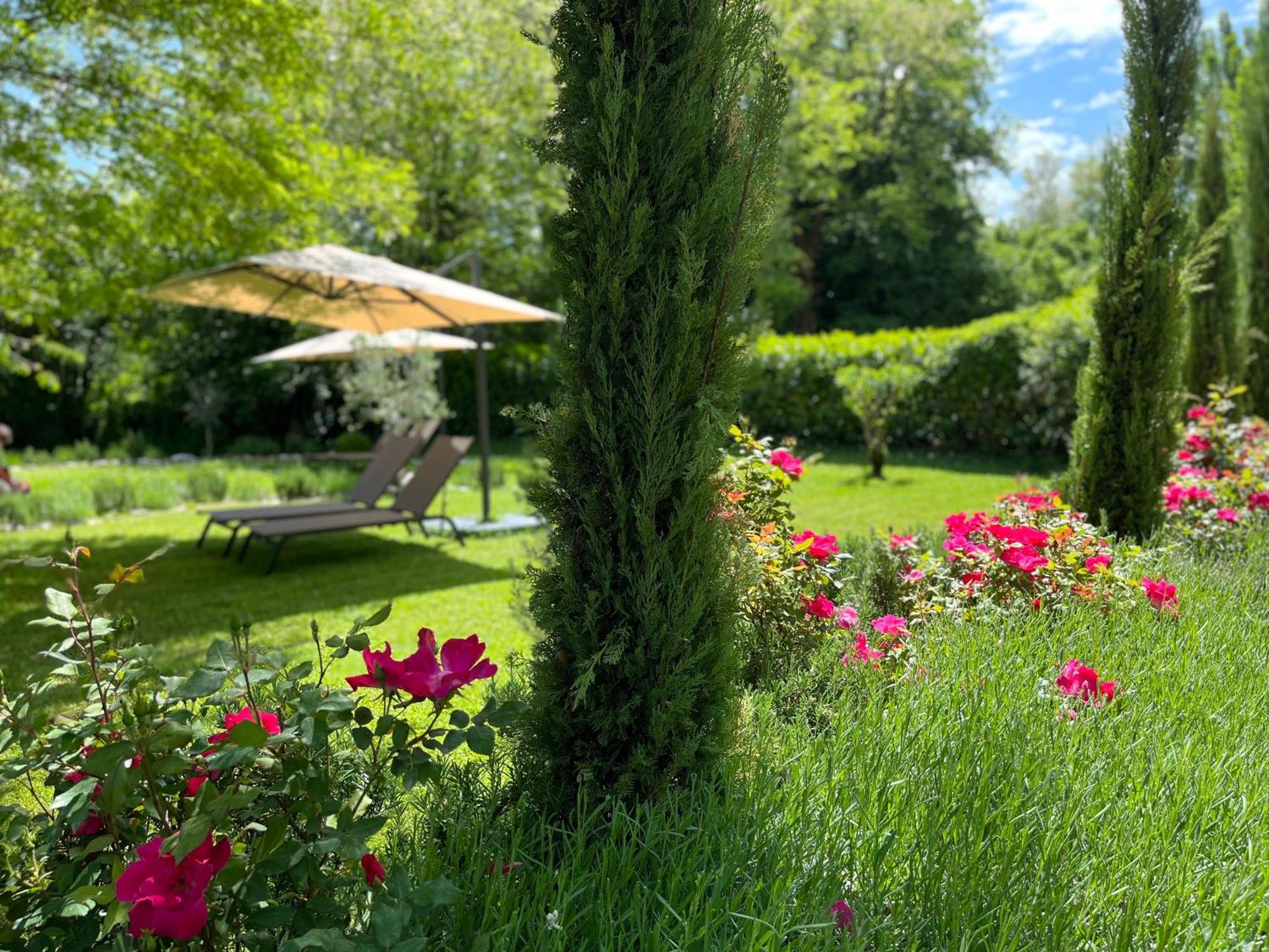 Апартаменти Mulino In Chianti Гайоле-ін-К'янті Екстер'єр фото