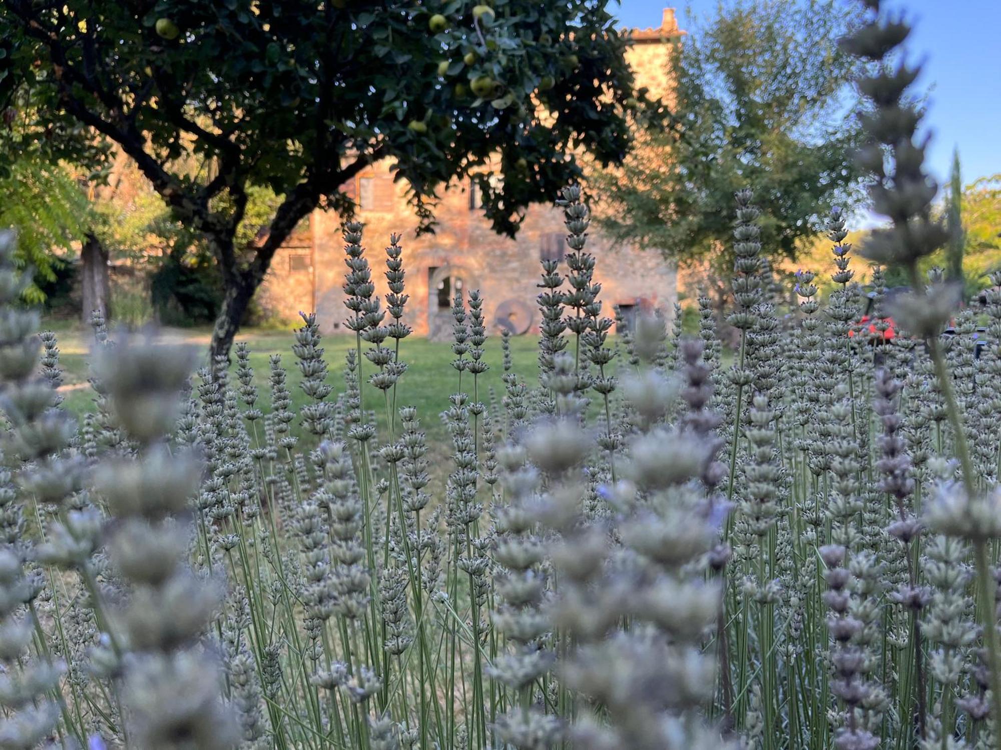 Апартаменти Mulino In Chianti Гайоле-ін-К'янті Екстер'єр фото